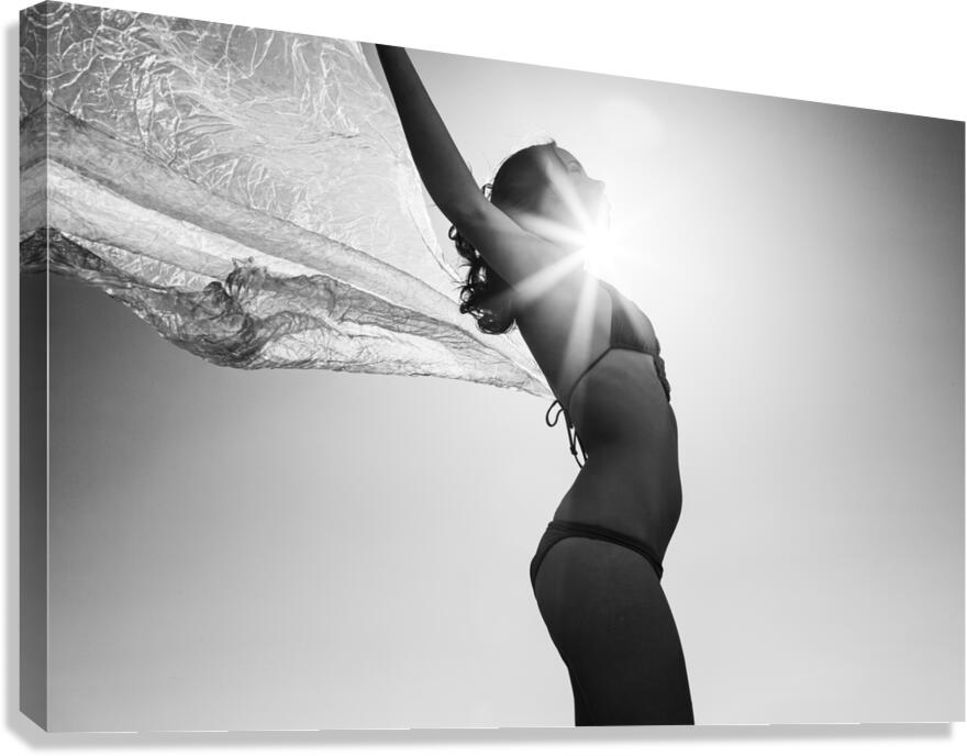 2270964 :: Giclée Stretched Canvas Print