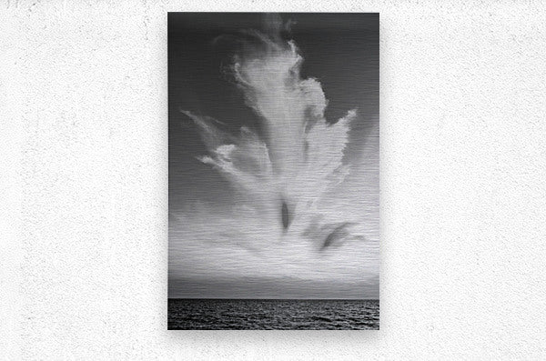 2270914 :: Brushed Metal Print