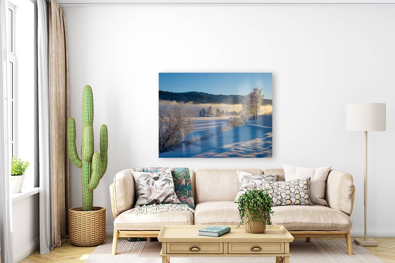 2252988 :: Giclée Stretched Canvas Print