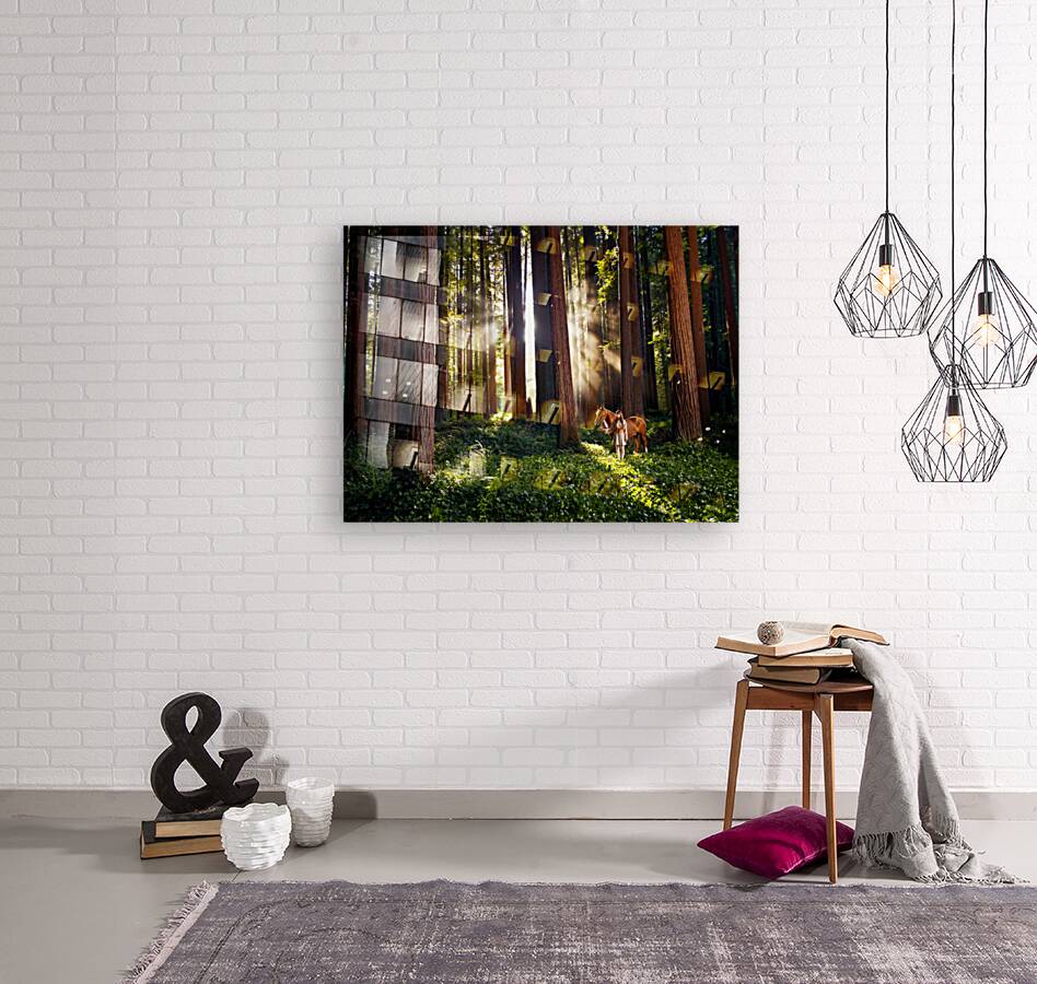 2252995 :: Giclée Stretched Canvas Print