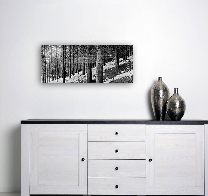 2253053 :: Giclée Stretched Canvas Print