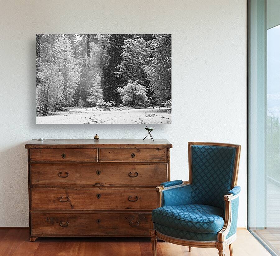 2270349 :: Giclée Stretched Canvas Print